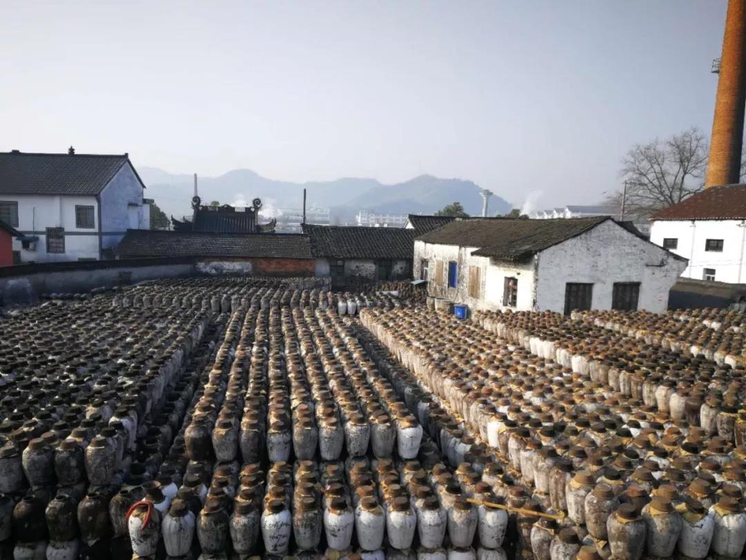 1548816600199820.jpg 6.jpg