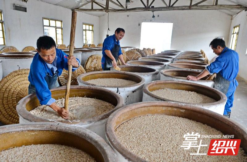 1555572935862709.jpg 5.jpg