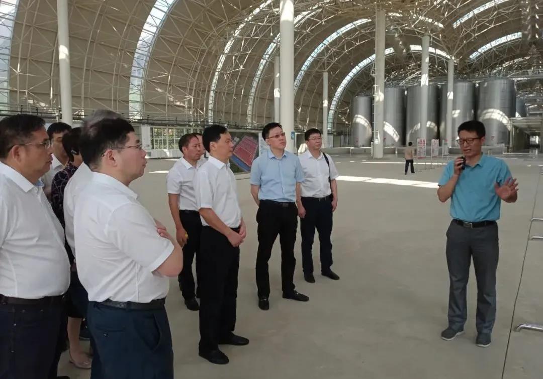 1597310833208969.jpg 6.jpg