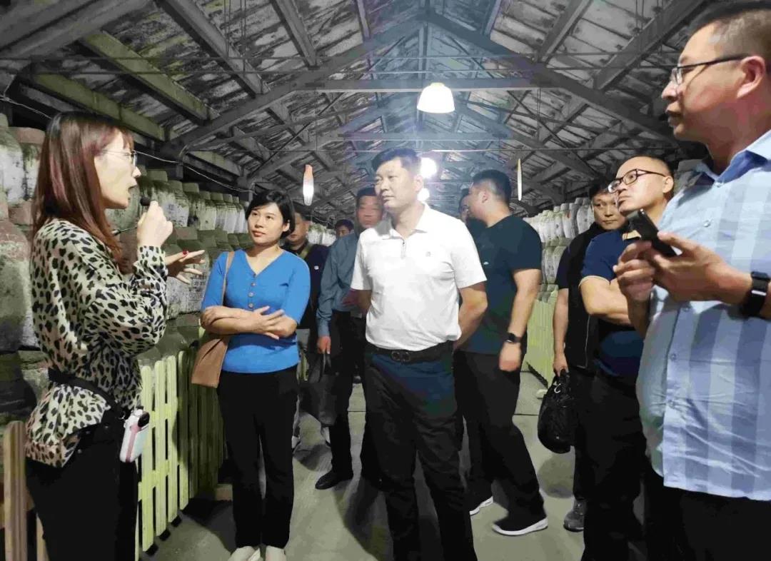 1601174330918166.jpg 4.jpg